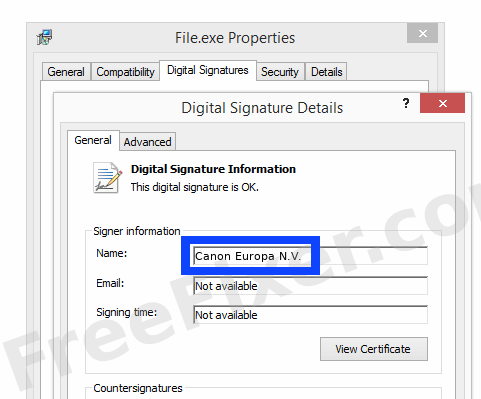 Screenshot of the Canon Europa N.V. certificate